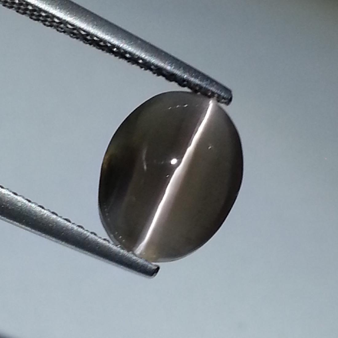 3.20 ct Natural Sillimanite Cat's Eye: No Reserve! Title: 3.20 ct Natural Sillimanite Cat's Eye Color/Clarity: Opaque Gemstones: Loosegemstone Carat Weights: 3.2 Size/Dimensions: 10.75 x 8.30 x 4.30 Additional Information: Oval - Africa