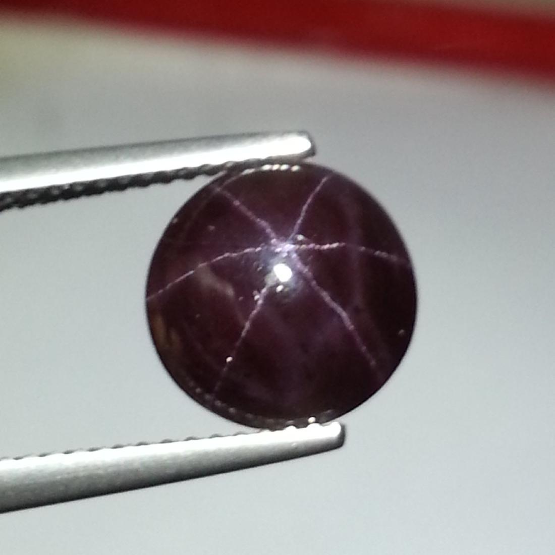 5.45 ct Top Quality Six Ray Star Garnet (1 of 6)
