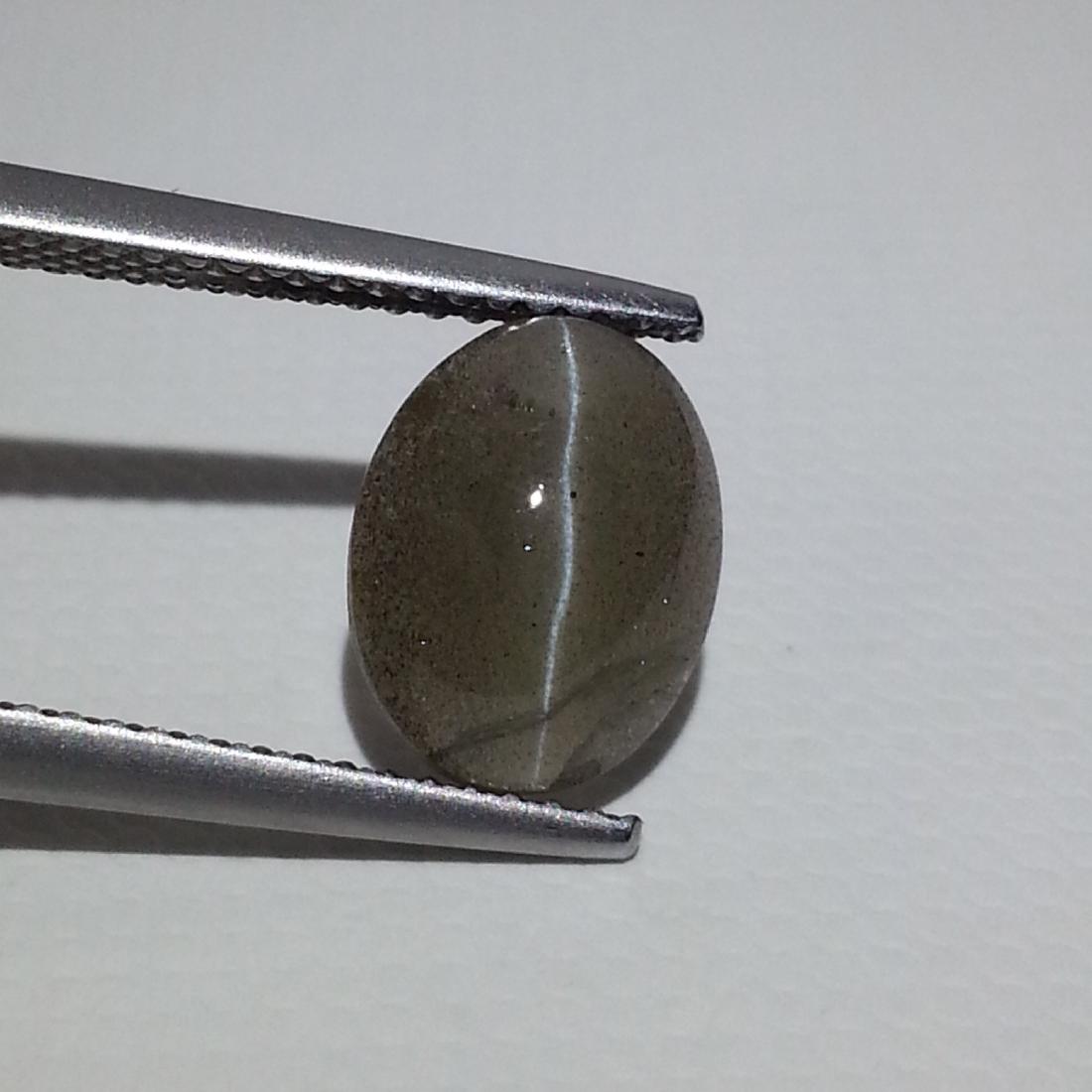 Natural Sillimanite Cat's Eye - 2.72 ct: No Reserve! Title: Natural Sillimanite Cat's Eye - 2.72 ct Color/Clarity: Opaque Gemstones: Loosegemstone Carat Weights: 2.72 Size/Dimensions: 10.05 x 7.80 x 4.60 Additional Information: Oval - Africa