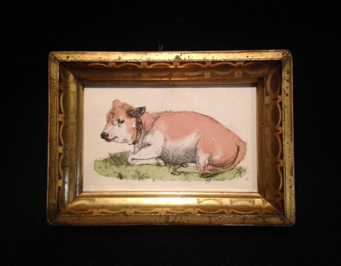1854 Calf Hand Colored Engraving: Title: 1854 calf hand colored engraving Dimensions: Total framed size is approximately 4" x 6". Provenance/Additional Info: In a 19thc worn gold leaf frame. Shipping: Domestic: Flat-rate of $10.00 to 