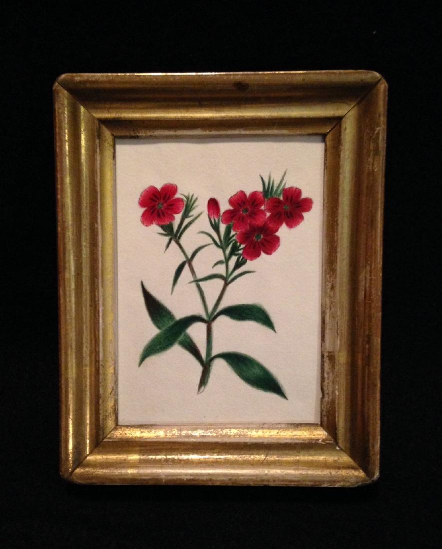 19thc Original Floral Watercolor (1 of 2)