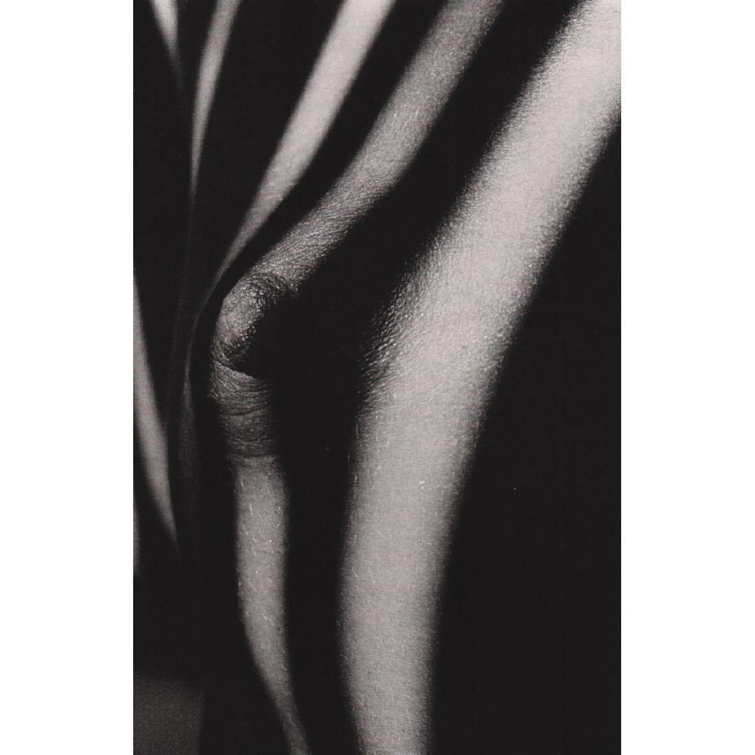 JEANLOUP SIEFF - Breast in the Sunlight, 1970: Artist: JEANLOUP SIEFF Print Title: Breast in the Sunlight, 1970 Medium: Sheet-Fed Gravure Printing Date: 1980's Printed in France Image Size approx: 4.25 x 6.5 inches Jeanloup Sieff (1933-2000) was a