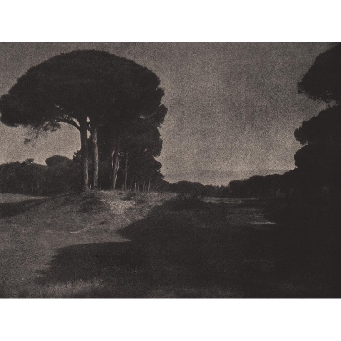RUDOLF KOPPITZ - Landscape of Stone Pines (1 of 1)