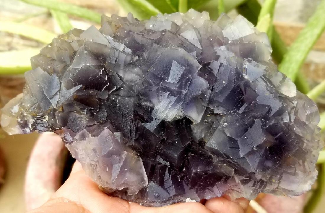 473.2 Grams Supreme Quality Undamaged cubic Fluorite: Title: 473.2 Grams Supreme Quality Undamaged cubic Fluorite Specimen Origin: PAKISTAN Weight: 473.2 GRAMS Description: 473.2 Grams Supreme Quality Undamaged cubic Fluorite Specimen Reserve: $25.00 Shi