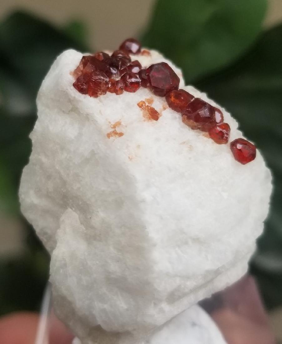 108 Carats Supreme Quality Hessonite Garnet Combined: Title: 108 Carats Supreme Quality Hessonite Garnet Combined With Mica Origin: AFGHANISTAN Weight: 108 CARATS 108 Carats Supreme Quality Hessonite Garnet Combined With Mica Reserve: $35.00 Shipping: Do