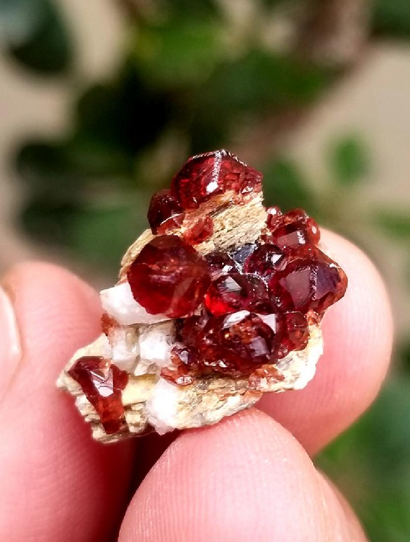 18.5 Carats Supreme Quality Hessonite Garnet Combined: Title: 18.5 Carats Supreme Quality Hessonite Garnet Combined With Mica Origin: PAKISTAN Weight: 18 CARATS 18.5 Carats Supreme Quality Hessonite Garnet Combined With Mica Reserve: $35.00 Shipping: Dome