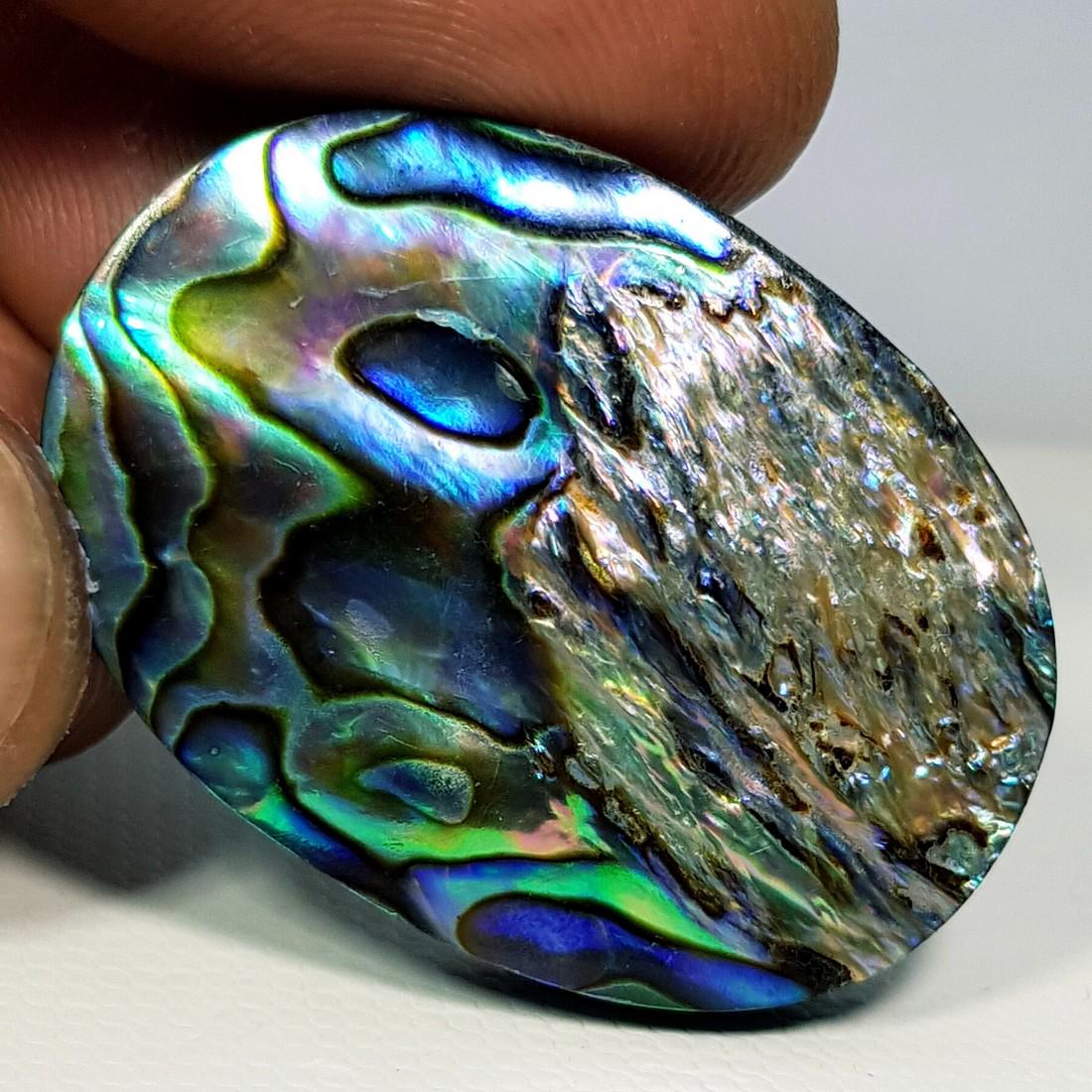 47.47 ct Australian Abalon (1 of 5)