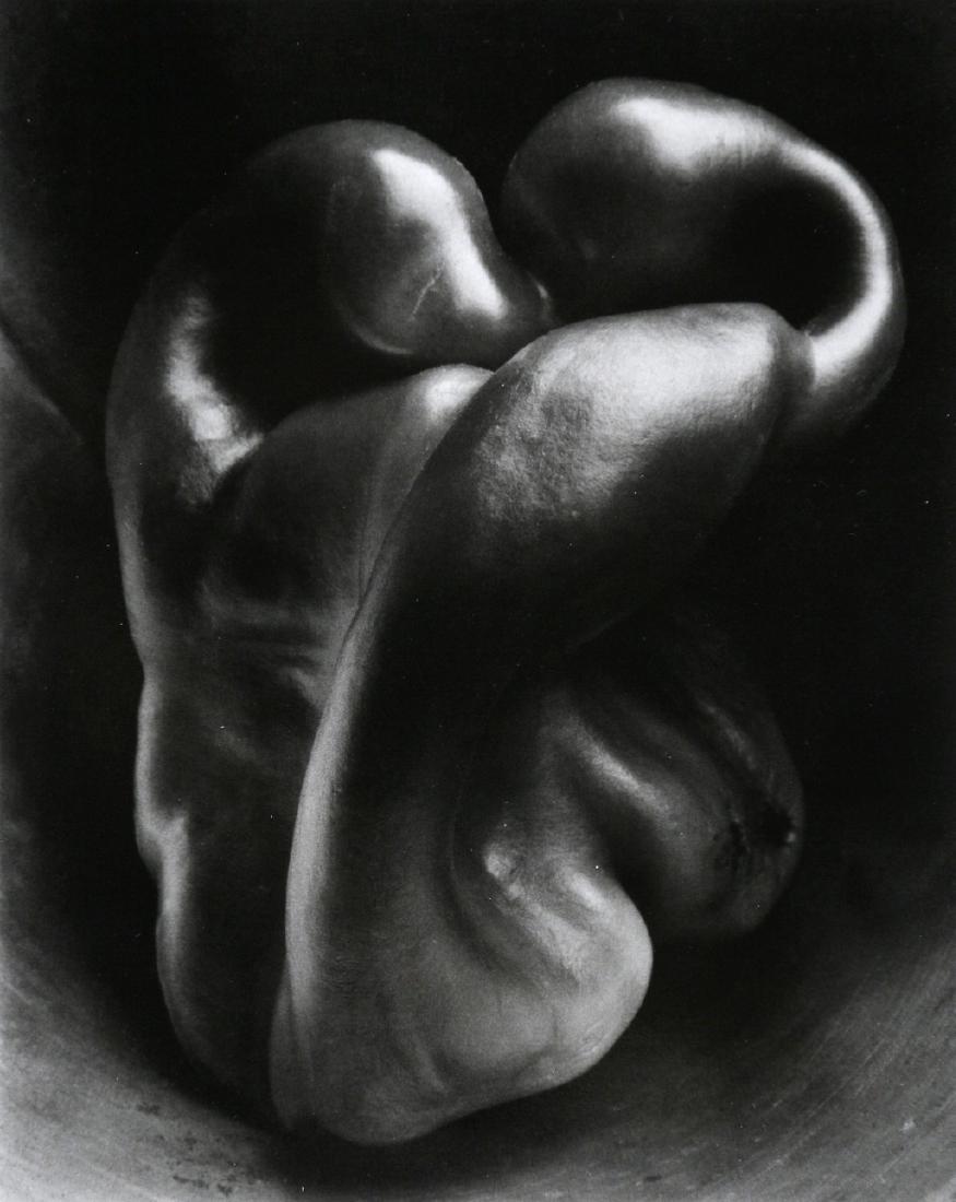 EDWARD WESTON - Peper, No.30, 1930: Artist: Edward Weston Title: Peper, No.30, 1930 Date Printed: 2008 Medium: Photo Litho with Copyright Collection Center for Creative Photography Printer Location: Italy Size: 15x19 cm - 7.5x5.9 inch M