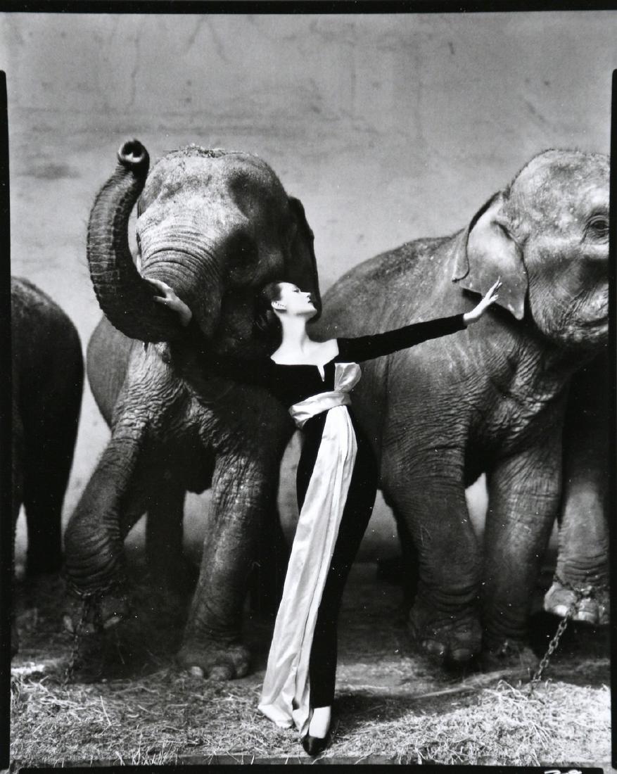 Richard Avedon Framed Poster Dovima With Elephants Paris