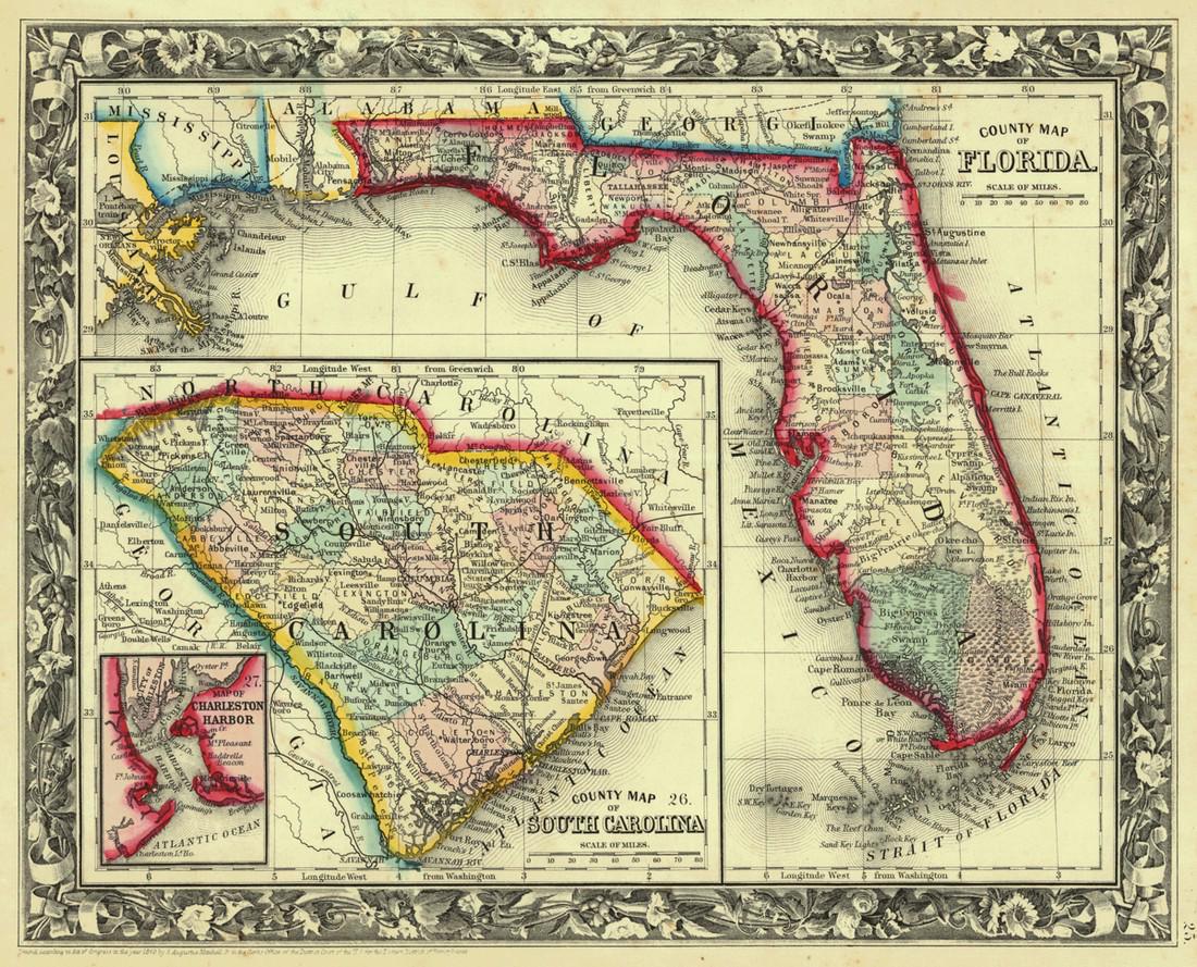 County Map of Florida. (1 of 1)