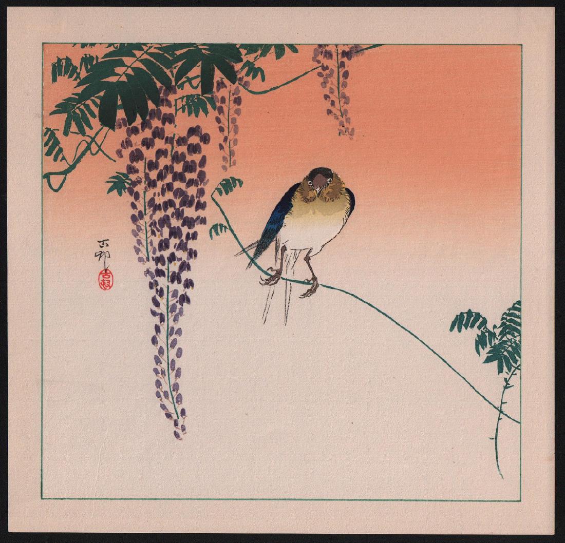 Ohara Koson: Bird & wisteria: Artist: Ohara Koson. Bird & wisteria. Publisher: Daikokuya. Date: c.1930's. Size: Measures: 11" x 11.25". Condition: Fine color, impression, condition. NOTE: This print comes from a group that were pr