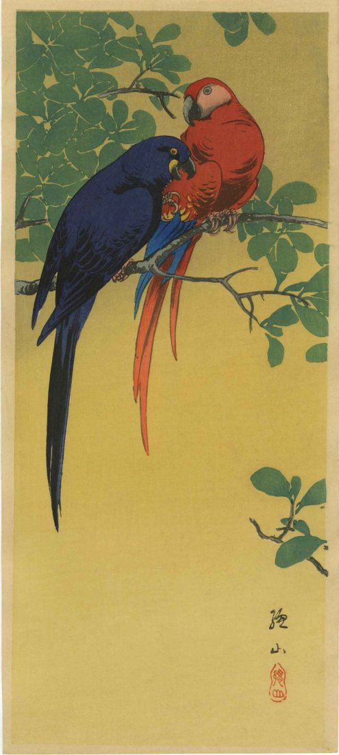 Sozan Ito: Macaws in a Tree 1925 Woodblock: Japanese Woodblock print, c.1925, published by Shozaburo Watanabe SIZE IN INCHES: 6.7 x 15 inches PROVENANCE: from the estate of Robert O. Muller ITO SOZAN designed prints known for the Tokyo publishe