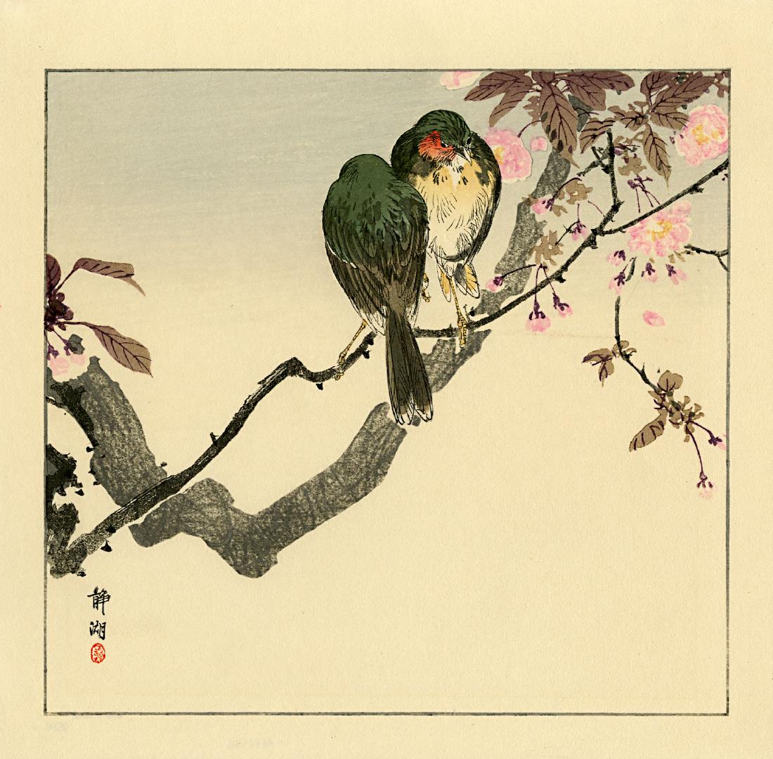 Seiko Okuhara: Japanese Robins Woodblock: Japanese Woodblock Print, 1930 published by Kawaguchi SIZE IN INCHES: shikishi, approx. 11.25 x 11 inches PROVENANCE: from the Robert O. Muller eatate SEIKO OKUHARA (1837-1913) was born the daughter o