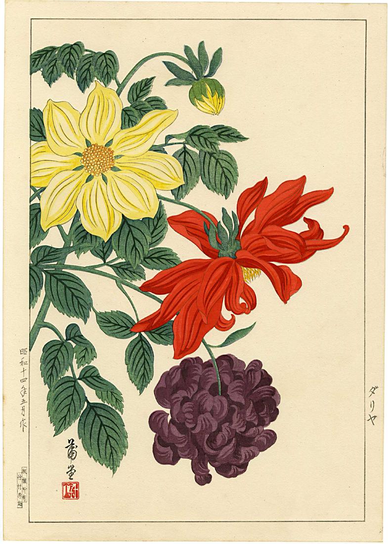 Hodo Nishimura: Dahlias 1st Ed. Woodblock: Japanese Woodblock Print, 1938, first edition, published by Takemura Hideo SIZE IN INCHES: oban, 10.75 x 15.5 inches PROVENANCE: from the estate of Robert O. Muller COMMENTS: Hodo Nishimura was a Japa