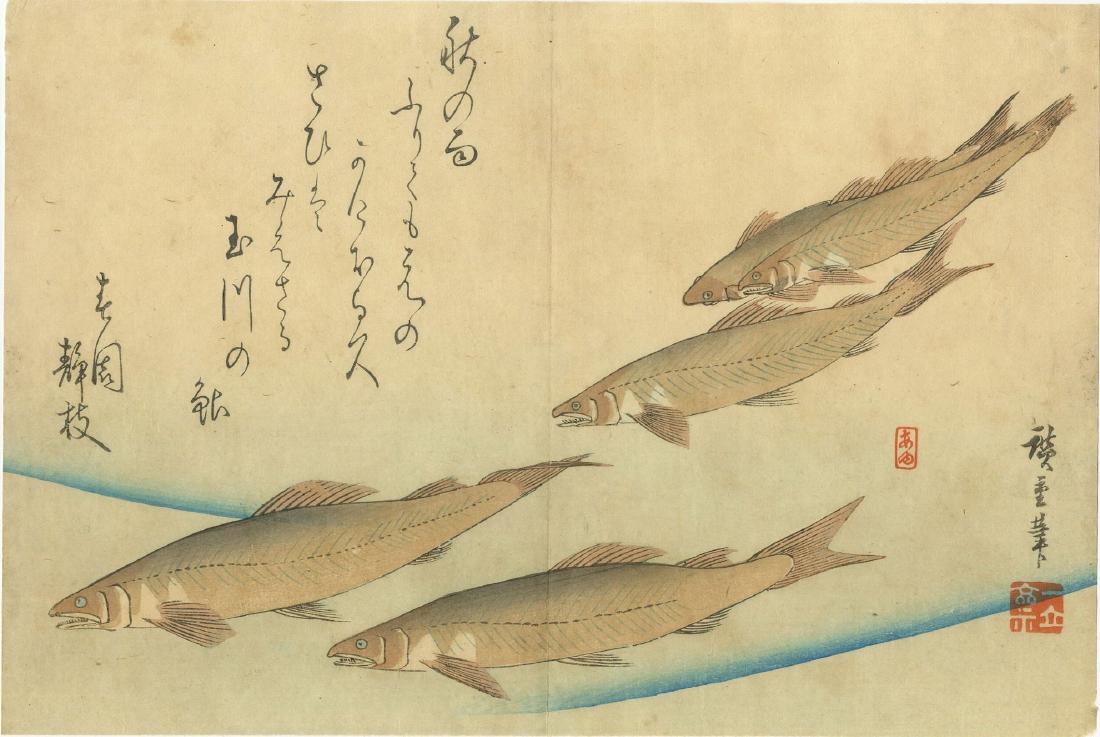 Hiroshige Ando: Trout Woodblock: Japanese Woodblock Print, from the series Grand Series of Fishes, originally published 1840-42, this later 19th century edition SIZE IN INCHES: 13.75 x 9.25 inches Shipping: Domestic: Flat-rate of $25
