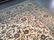 STUNNING ANTIQUE PERSIAN KASHAN RUG SIGNED 9'.9"X13' - 8