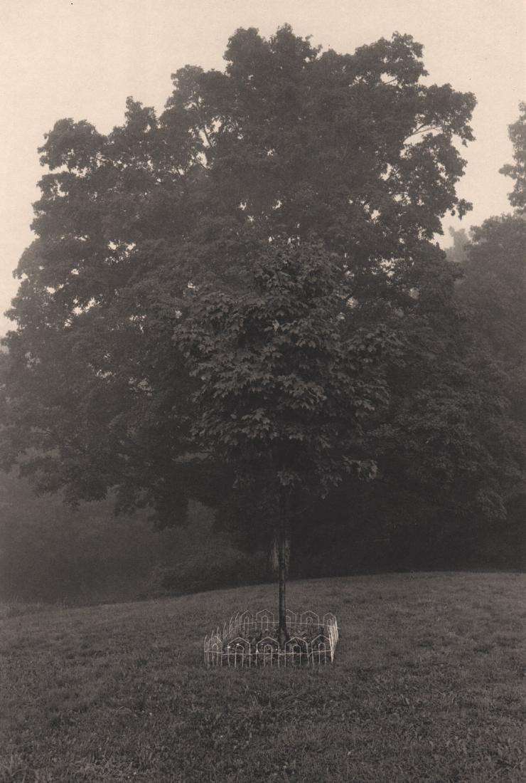 LEE FRIEDLANDER - East Chatham, NY: Artist: LEE FRIEDLANDER Print Title: East Chatham, NY Medium: Photoengraving Printed 1980’s in the US Image size (inches) approx.11 x 7.5” Lee Friedlander is an American photographer and artist. I