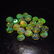 4.45 Ct Genuine 22 Drilled Multi-Color Fire Round Opal