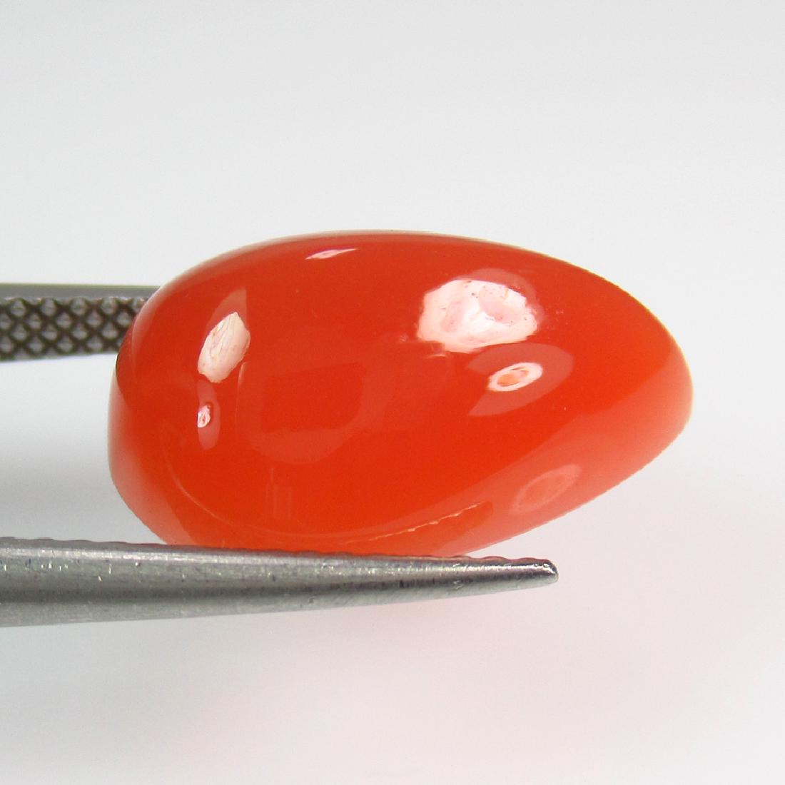 7.25 Ctw Natural Orange Moonstone Pear Cabochon: No Reserve! Title: 7.25 Ctw Natural Orange Moonstone Pear Cabochon Stone Clarity: Opaque Gemstones: Moonstone Carat Weights: 7.25 Size/Dimensions: 16.20 x 10.10 x 7.30 mm Additional Information: Orang
