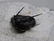 Flying fossil trilobite "devil horn": Cyphaspis - 4