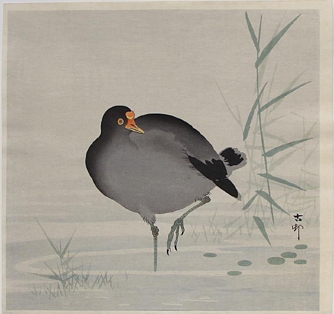 Koson: Gallinule, a marsh bird: Artist: Ohara KOSON (1877-1945) Subject: Gallinule, a marsh bird Signature: Koson Date: 1920s Format: shikishiban, 26 x 24.4 cm Condition: Fine impression, color and condition, "Made in Japan" on back
