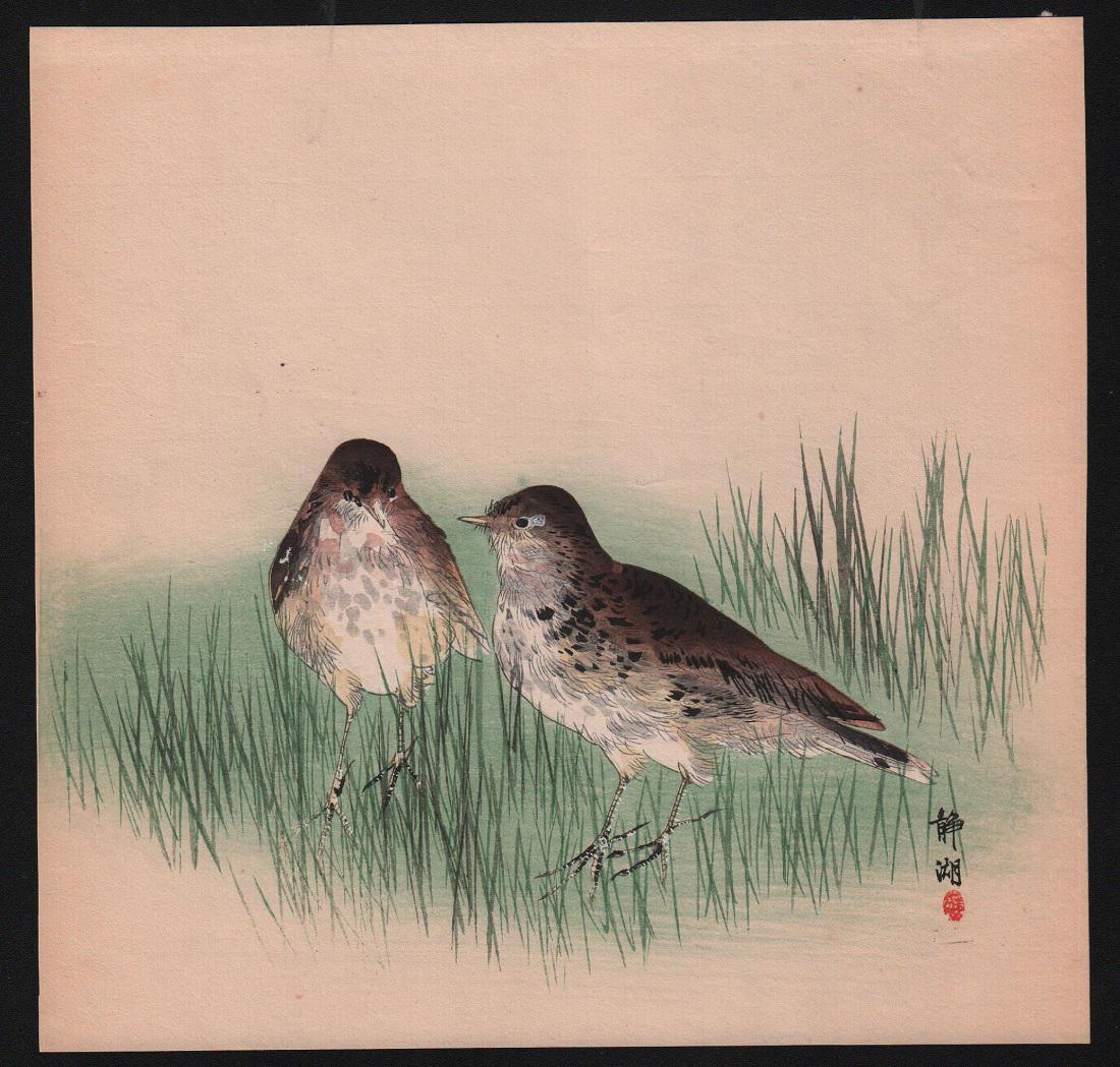 Seiko: Sparrows in grass: Artist: Seiko. Sparrows in grass. Publisher: Daikokuya. Date: c.1910's. Size: Measures: 9.5" x 9.75". Condition: Fine color, impression, condition. Reserve: $260.00 Shipping: Domestic: Flat-rate of $1