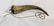 Large Incised Powder Horn. Early 19th Century
