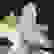 item-70466135=3