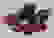item-70508391=4