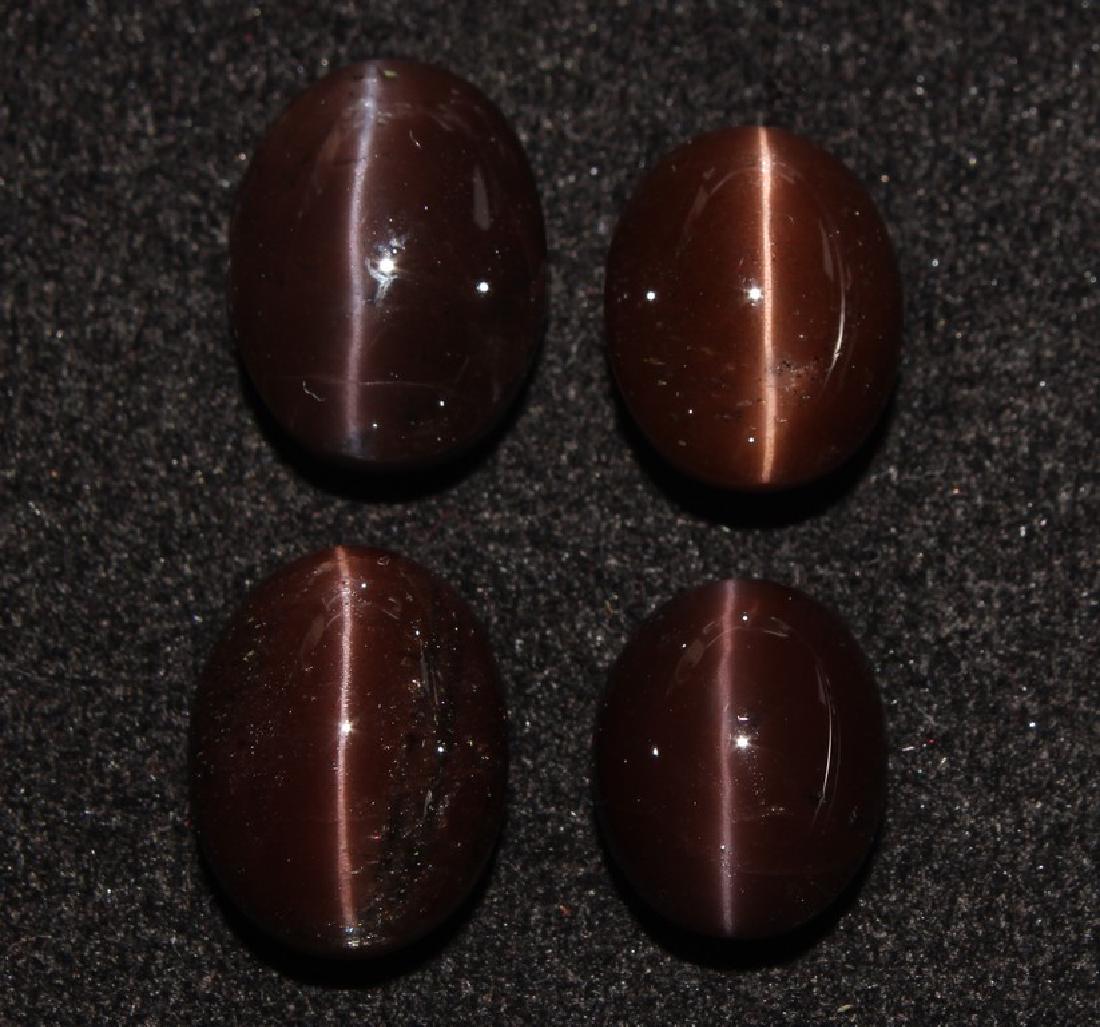 44.13 Natural Scapolite Cat's Eye Lot: No Reserve! Natural : Cat's-Eye Scapolite Origin: Madagascar Weight: 44.13 Ct Dimensions: 12.9x10.5x8.5 to 15x11.6x8.8 mm Number of pieces : 4 Shape : Oval Cabochon Colour: Reddish Brown Transparency: