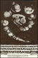 Popular Original FD-131 Pink Floyd Poster