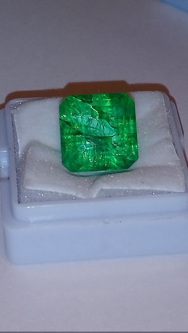 9.30 ct certified dendric emerald (1 of 5)