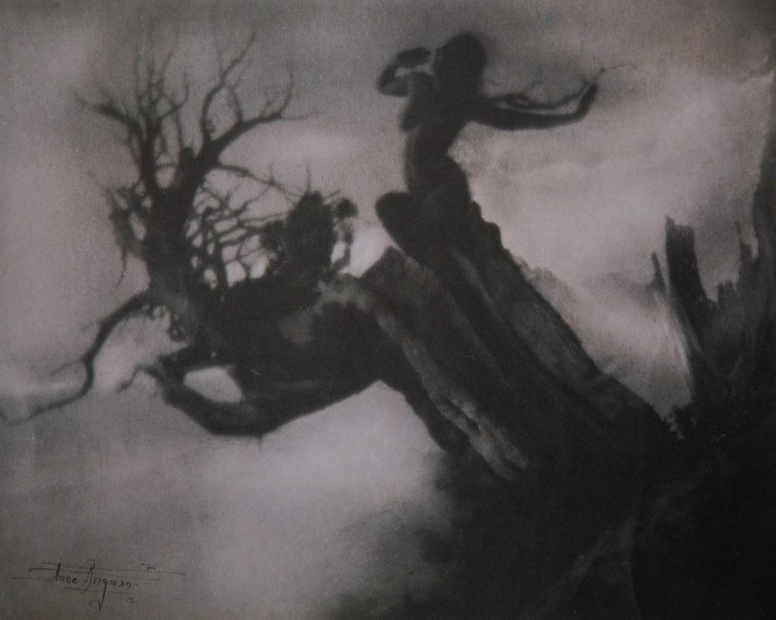 ANNE BRIGMAN - The Storm Tree, 1911: Artist: Brigman, Anne Title: The Storm Tree, 1911 Medium: Photo Litho, 1989, Japan Dimensions: 8.65x6.85" Heat Wax Mounted on 11x14" Conservation Board Anne Brigman (1869–1950) was an American photo