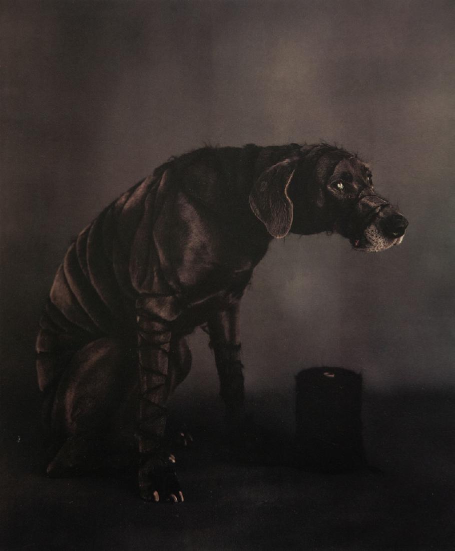 WILLIAM WEGMAN - Yarn, 1982 (1 of 1)