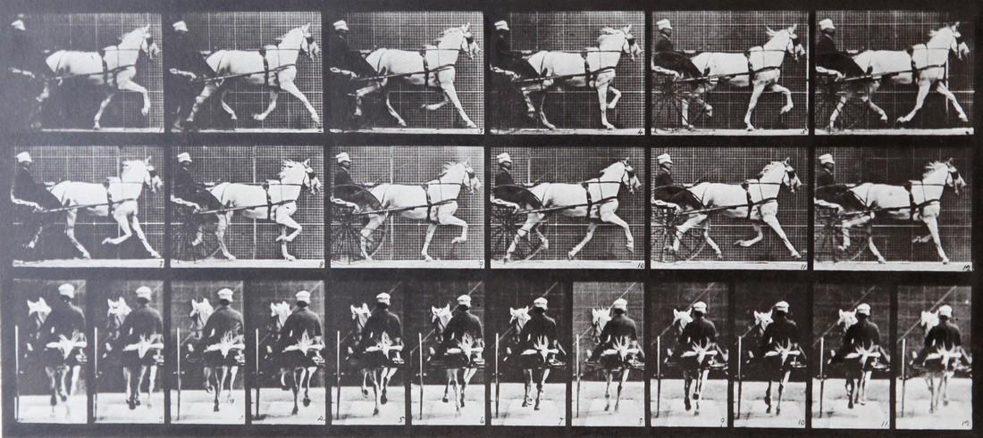 EADWEARD MUYBRIDGE - Horse with carriage A.L. 671: Artist: EADWEARD MUYBRIDGETitle: Horse with carriage A.L. 671 Date Printed: 1979 Medium: Vintage Photogravure Printer Location: Italy 33.x14.7 cm - 13.2x 5.7 inch With tissue guard Mount Size: 30x40 c