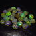 5.34 Ct Genuine 25 Drilled Multi-Color Fire Round Opal