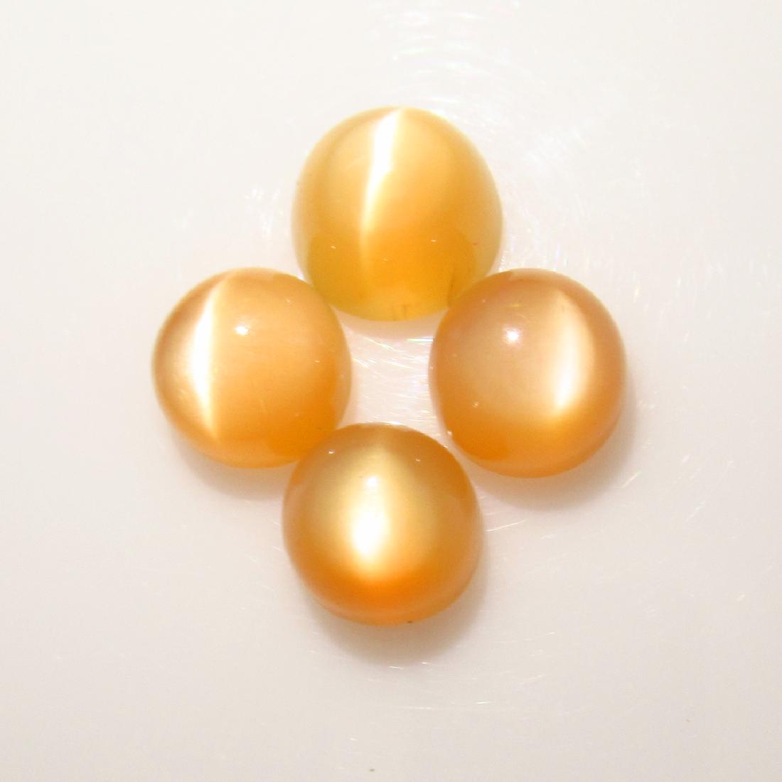 11.59 Ct Genuine Browm 4 Moonstone Catseye Round Set: No Reserve! Title: 11.59 Ct Genuine Browm 4 Moonstone Catseye Round Set Stone Clarity: Transparent Gemstones: Natural Moonstone Catseye Carat Weights: 11.59 Size/Dimensions: 8.00 to 9.00 mm / 4 PC's A