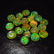 3.74 Ctw Natural 25 Ethiopian Drilled Round Fire Opal - 2