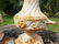 Rare antique French art nouveau 'Louvre' garden vases - 11