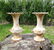 Rare antique French art nouveau 'Louvre' garden vases