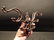 5 arm Cast Iron Swivel Wall Hook Coat Rack - 4