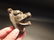 Cast Iron Wall Mount Figural Bear Beer Bottle Opener - 5