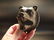 Cast Iron Wall Mount Figural Bear Beer Bottle Opener - 7