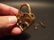 Cast Iron Trunk Chest Box Heart Padlock w Key - 2