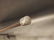 Silver & Black Celtic Metal Slim Walking Stick Cane - 5