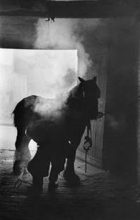 City Blacksmith: Artist: Bert Hardy Title: City Blacksmith Medium: Silver Gelatin Year: 1949 Height/Width: 12 x 10 in Description: January 1949: Southwark smithy William Surridge at work in Burman Street near the