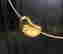 item-70870084=3