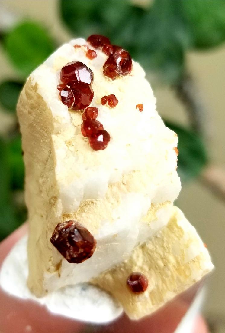 104 Carats Supreme Quality Hessonite Garnet Combined: Title: 104 Carats Supreme Quality Hessonite Garnet Combined With Mica Origin: afghanistan Description:104 Carats Supreme Quality Hessonite Garnet Combined With Mica Reserve: $35.00 Shipping: Domestic: