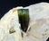41 Grams Terminated Green Cap Tourmaline with Quartz - 2