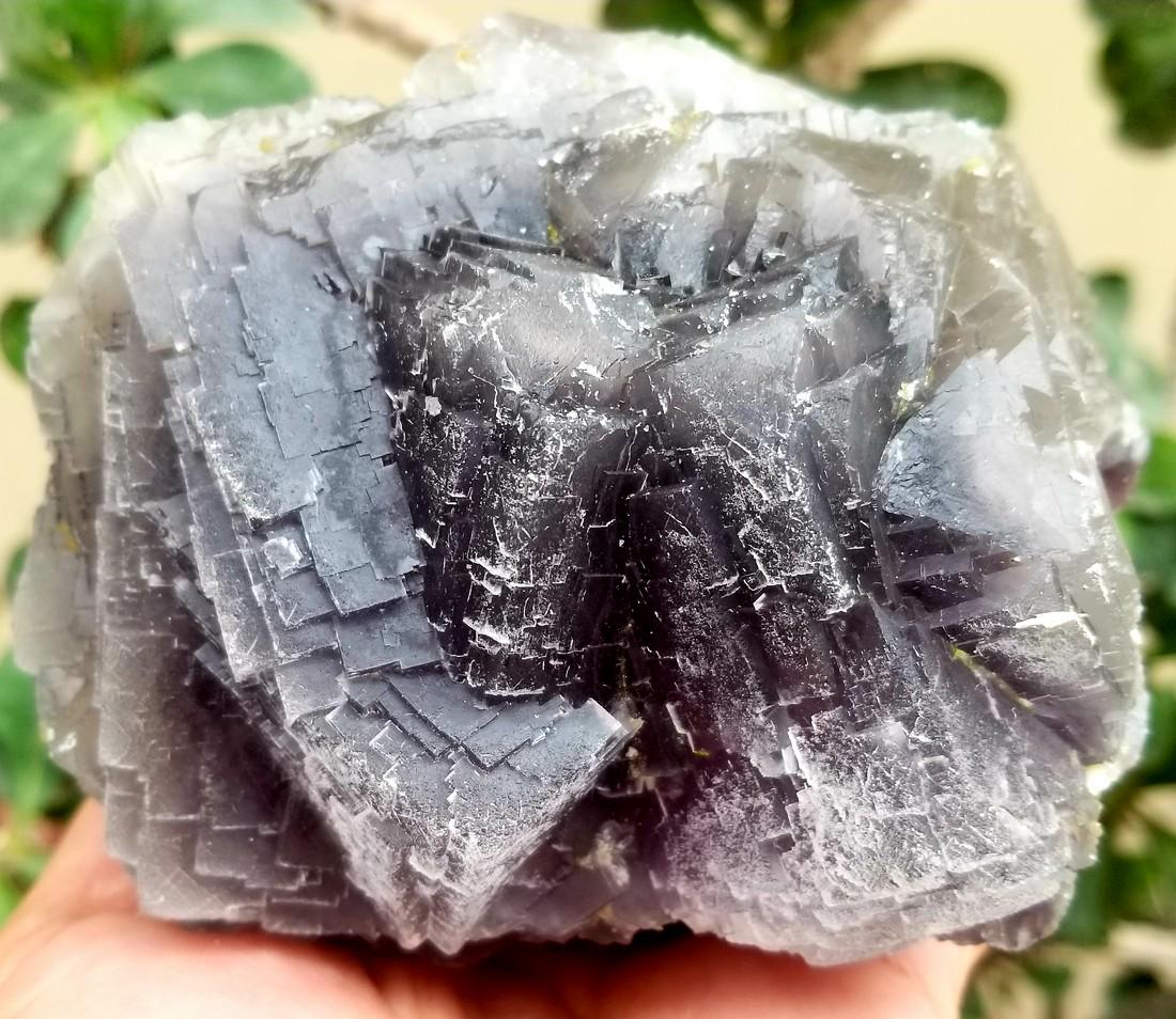 909.2 Grams Supreme Quality Undamaged cubic Fluorite: Title: 909.2 Grams Supreme Quality Undamaged cubic Fluorite Specimen Origin: afghanistan Description:909.2 Grams Supreme Quality Undamaged cubic Fluorite Specimen Reserve: $25.00 Shipping: Domestic: